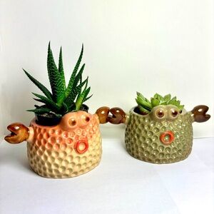 2 Mini Crab Ceramic Succulent Planter design with Gift Box